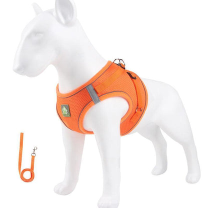 Basic Cat Harness Escape Proof Orange Leash Set Cat Lead