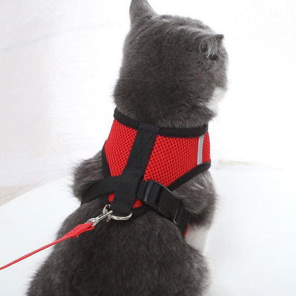 Basic Cat Harness Leash Set - MEWCATS