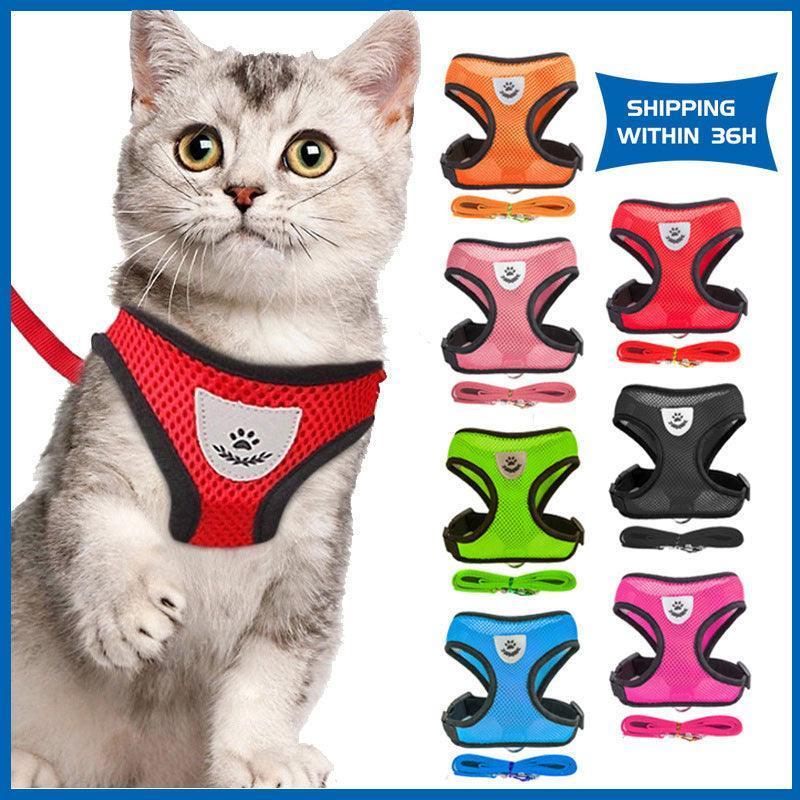 Basic Cat Harness Leash Set - MEWCATS