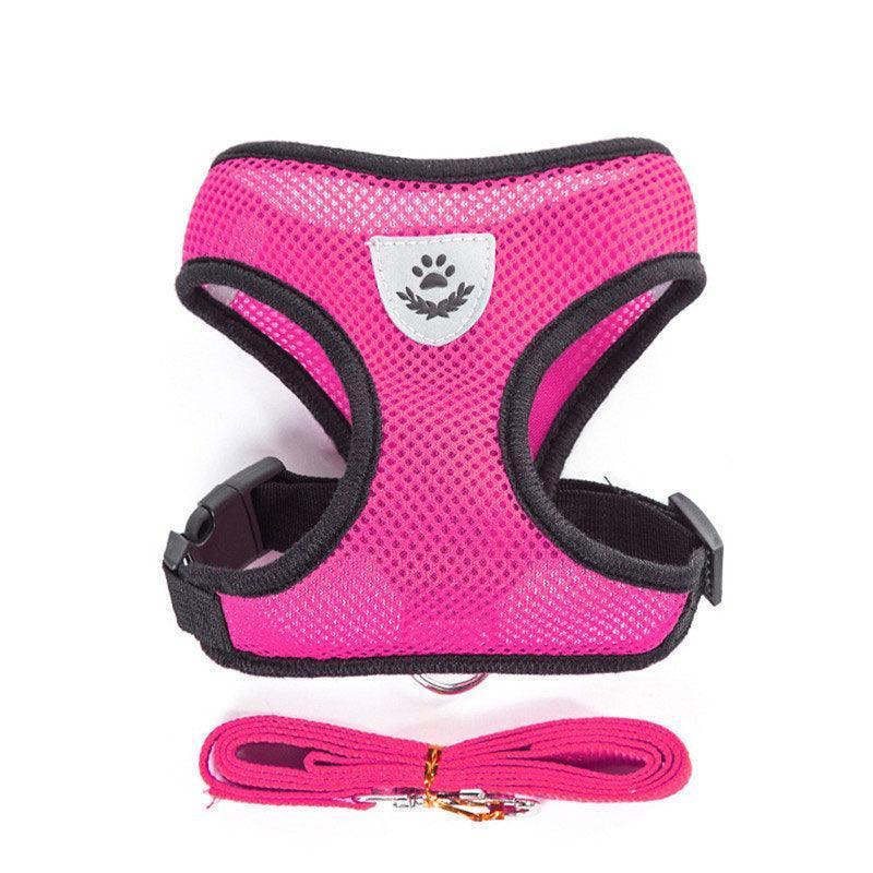 Basic Cat Harness Leash Set - MEWCATS