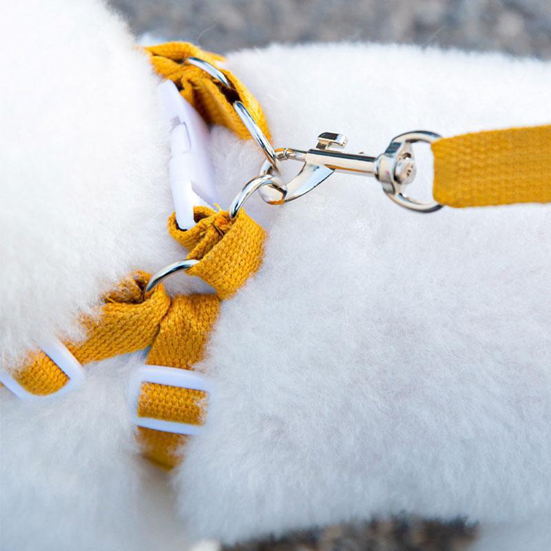 Bear Cat Leash 3 Color Pet Harness - MEWCATS