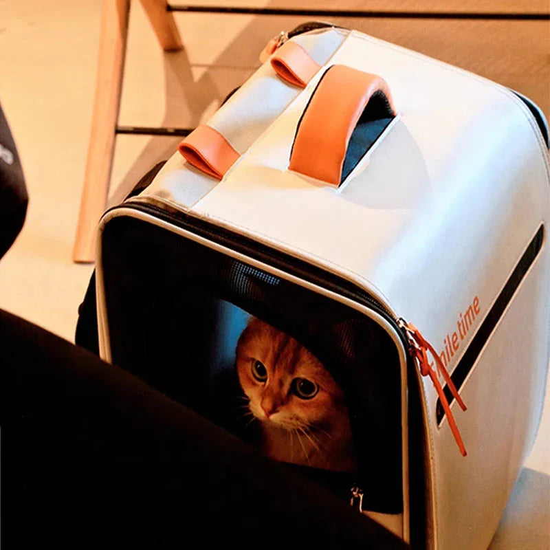 Big Adventure Cat Carrier Backpack - MEWCATS