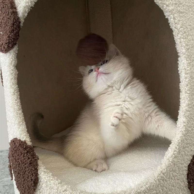 Bubble Milk Tea 3 Color Cat Cave Bed - MEWCATS