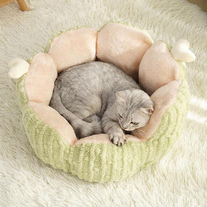 Cactus Cat Bed 2 Color Fluffy Warm Cat Nest - MEWCATS