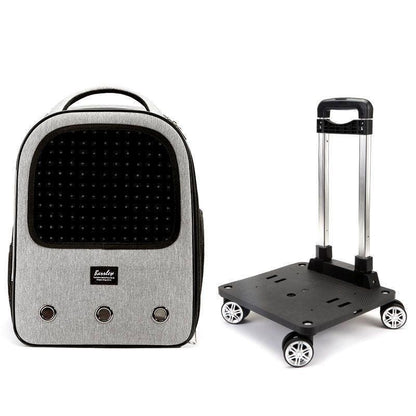 Cat Carrier Backpack With Wheels Rolling Large 5 Color Trolley - MEWCATS