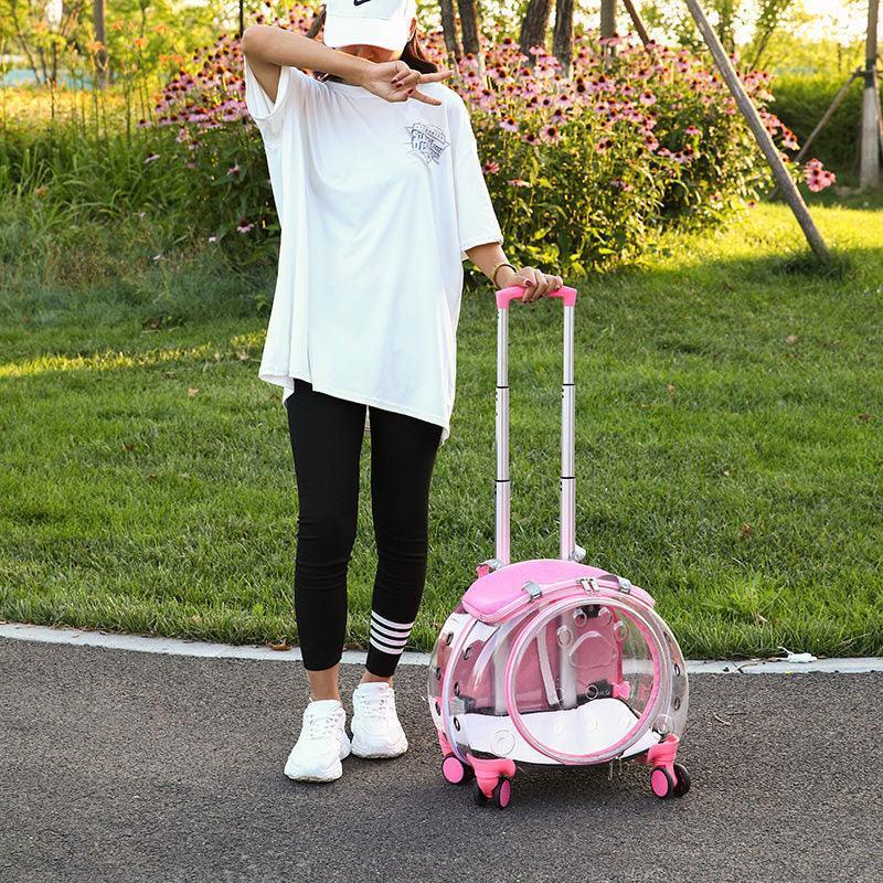 Cat Carrier Backpack With Wheels Transparent Trolley Case - MEWCATS