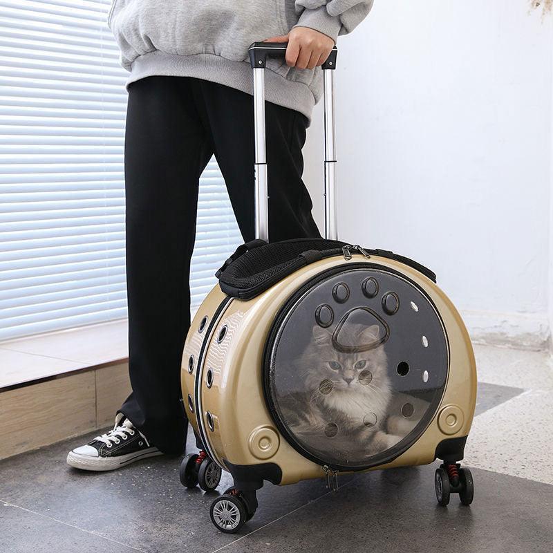 Cat Carrier Backpack With Wheels Transparent Trolley Case - MEWCATS