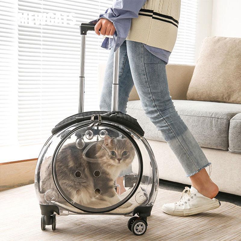 Cat Carrier Backpack With Wheels Transparent Trolley Case - MEWCATS