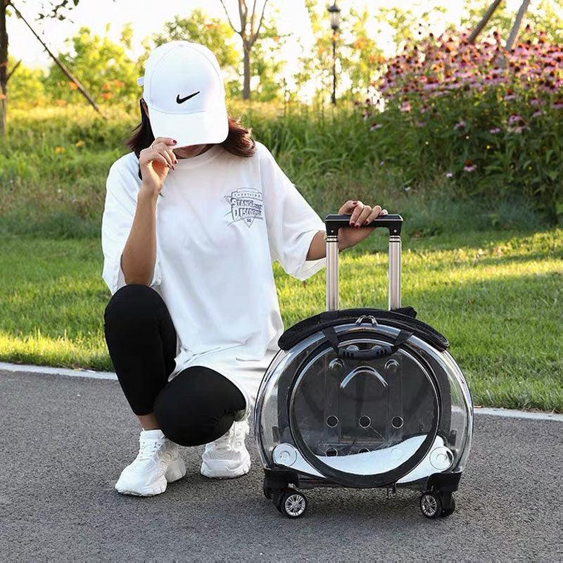 Cat Carrier Backpack With Wheels All-in-one Transparent Black Pet Trolley Case
