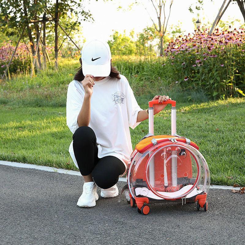 Cat Carrier Backpack With Wheels Transparent Trolley Case - MEWCATS