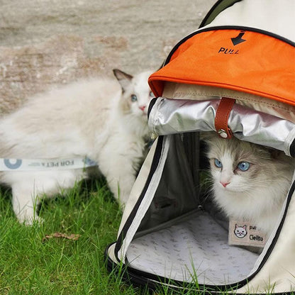 Cat Carrier Bag Tent Expandable Large Capacity Handheld 2 Color Pet Backpack