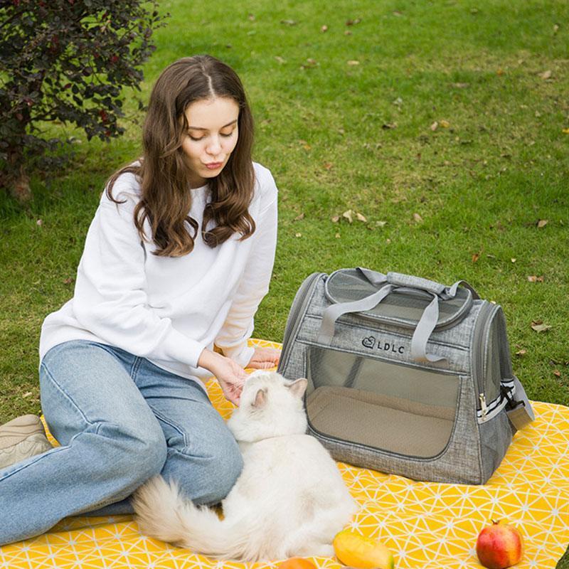 Cat Carrier With Wheels 2 Color Large Tote Trolley - MEWCATS