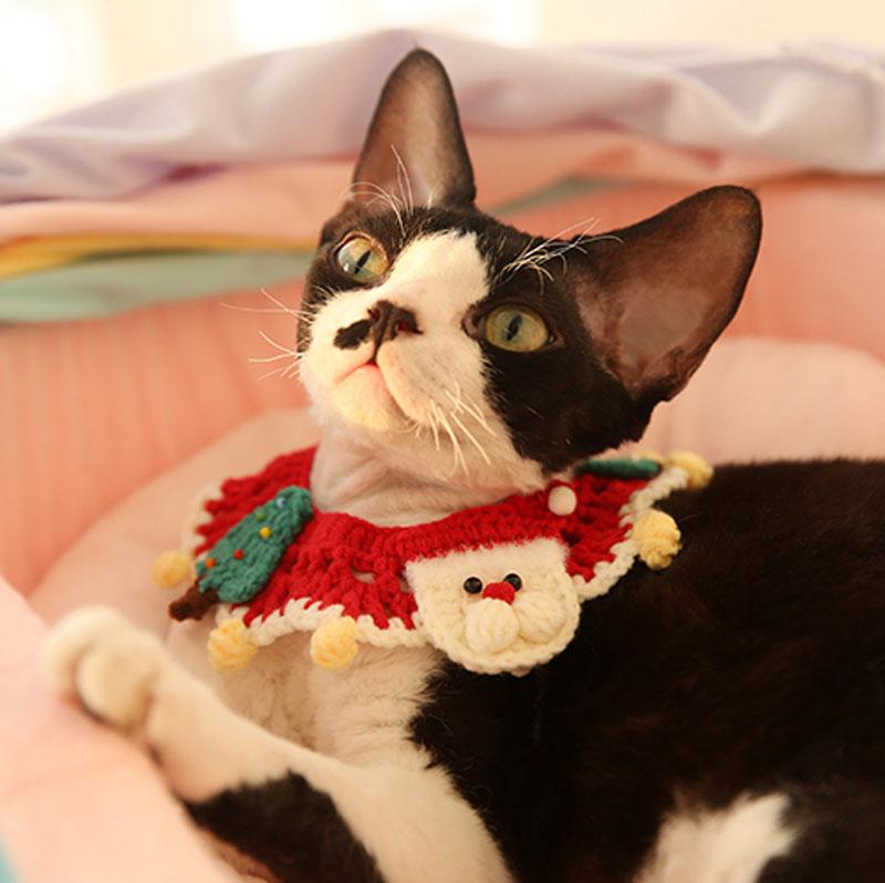 Cat Christmas Costume Accessories