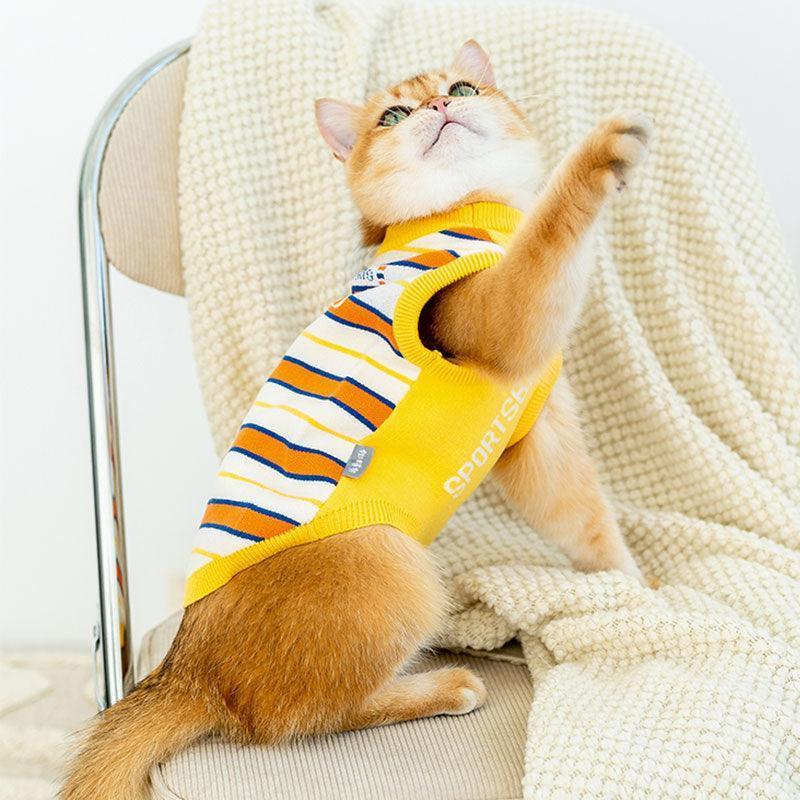 Cat Clothes 3 Color Winter Warm Sweater Vest
