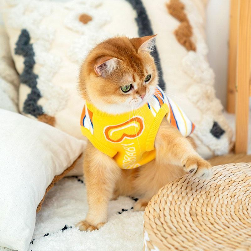 Cat Clothes 3 Color Winter Warm Sweater Vest