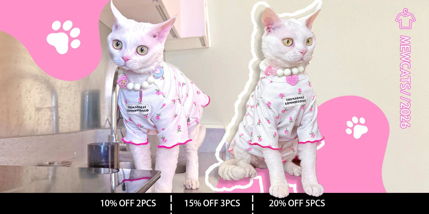 Mewcats 2026 Cat Clothes