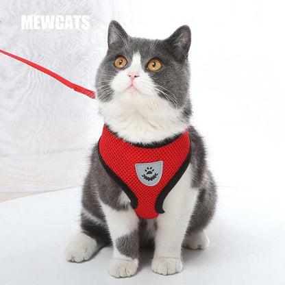 Cat Harness Leash Set  Red Cat Lead