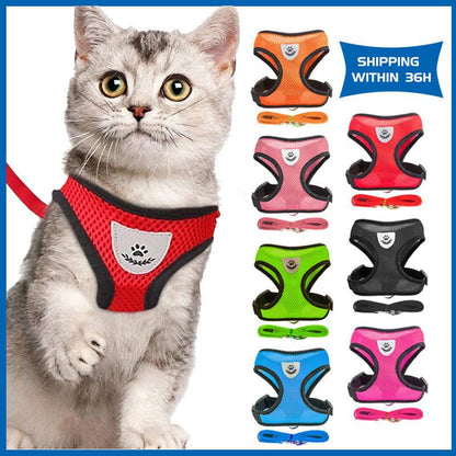 Cat Harness Leash Set  7 Color Cat Lead