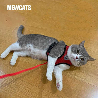 Cat Harness Leash Set  7 Color Cat Lead