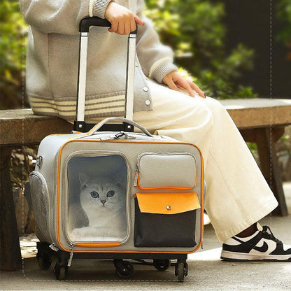 Retractable Cat Carrier Backpack With Wheels 2 Color Cat Bag