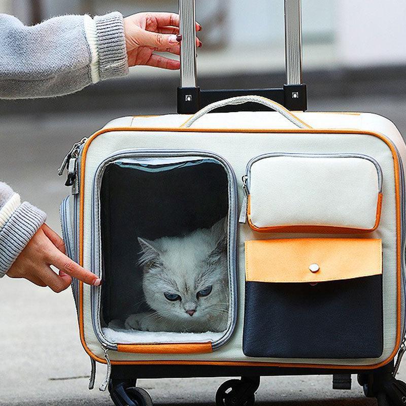 Cat carrier rolling hotsell