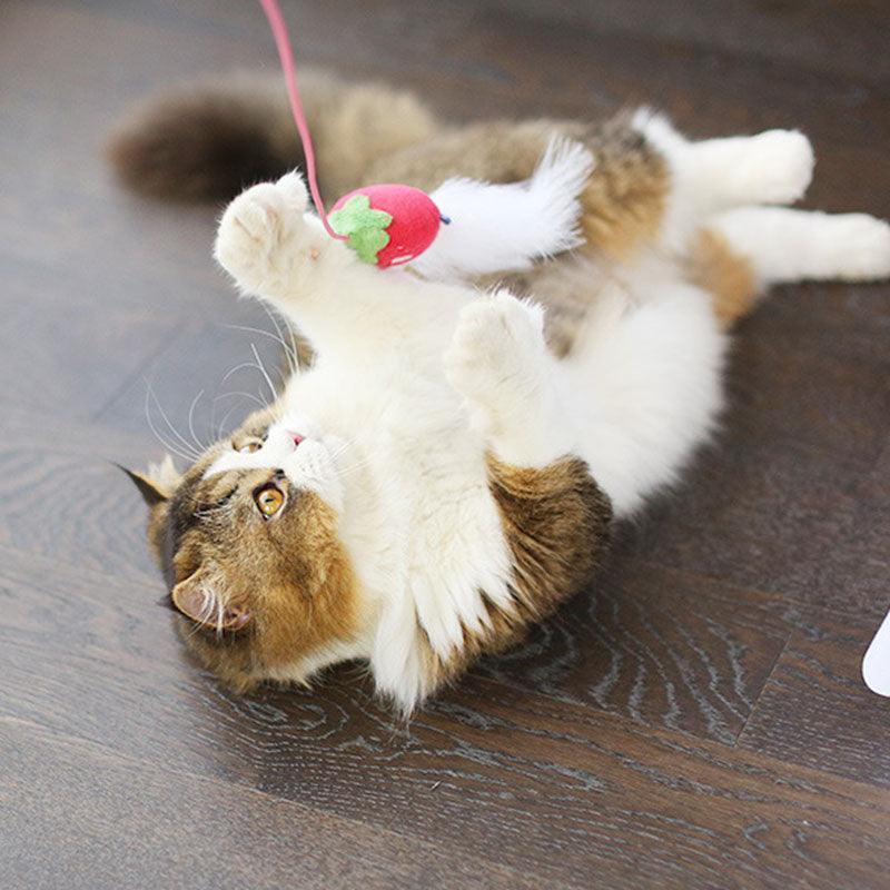 Cat Stick Toys With Bell Feather Catnip 3 Style