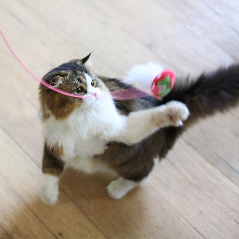 Cat Stick Toys With Bell Feather Catnip 3 Style