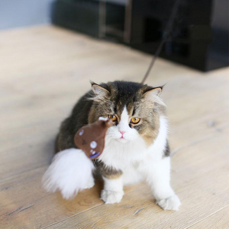 Cat Stick Toys With Bell Feather Catnip 3 Style