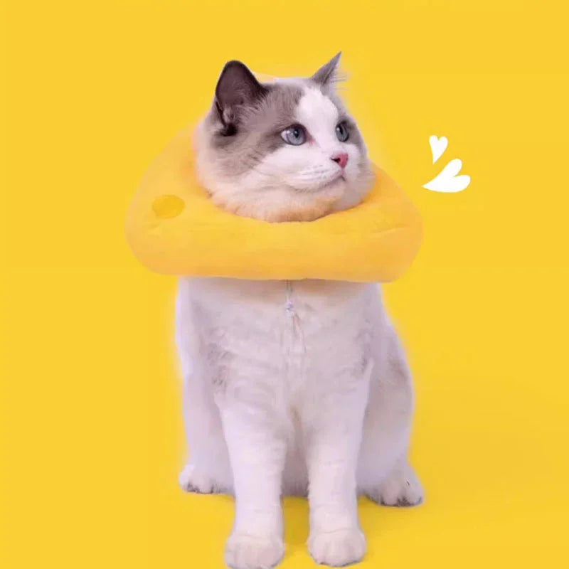 Cheese Catnip Cute Cat Plush Chew Toys - MEWCATS