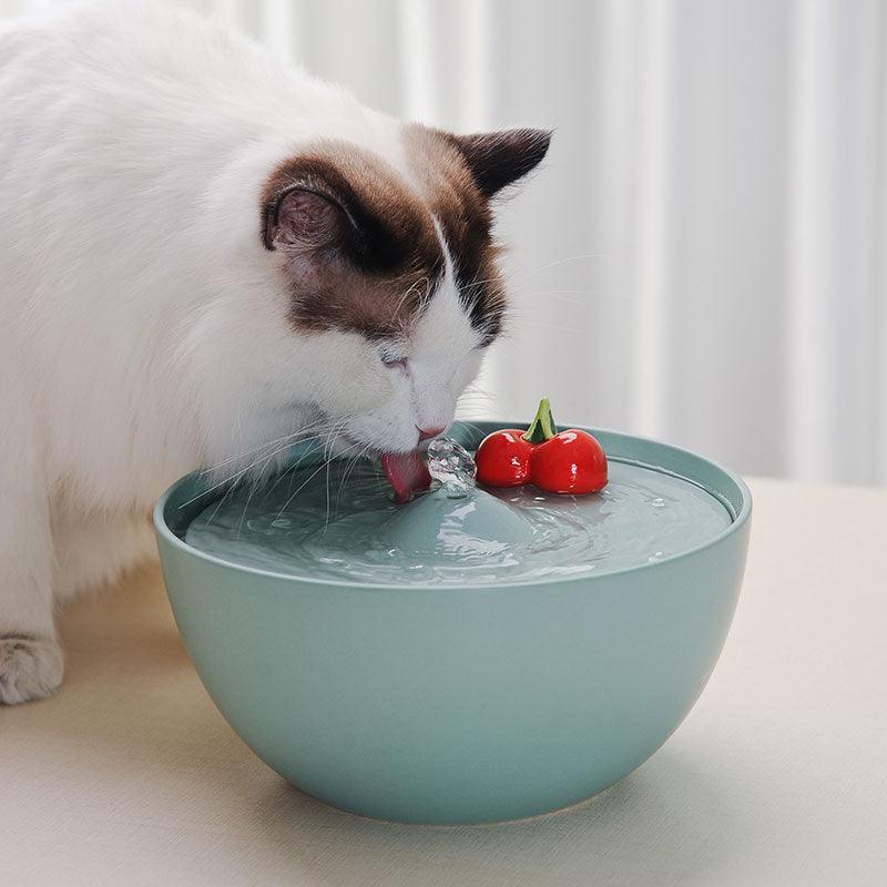 Cherries Ceramic Cat Water Fountain Filter Water Dispenser