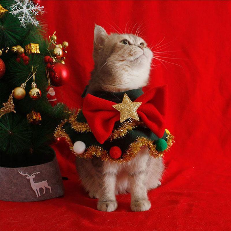 Christmas Cat Clothes Cute Hat Bib - MEWCATS