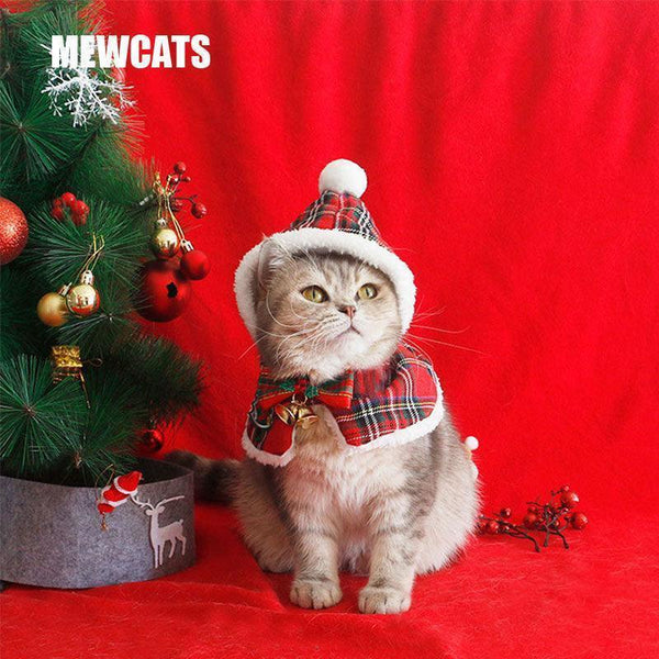 christmas dress with cats Cat Hooded Clothes Warm Cape – MEWCATS which is made of