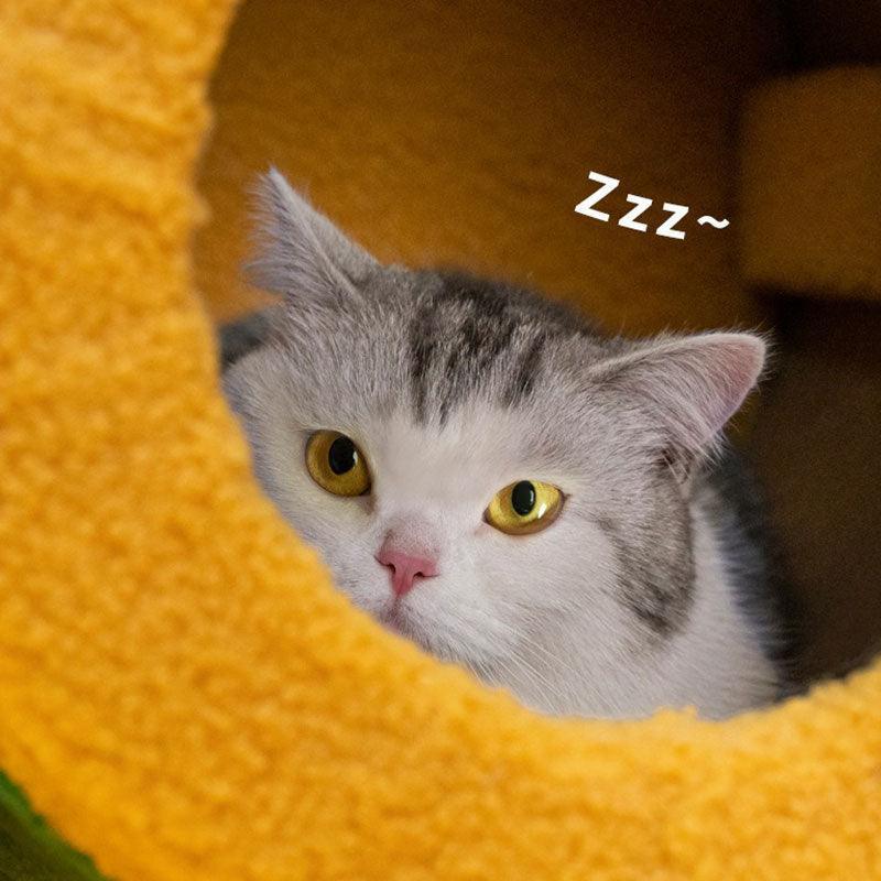 Circus Cute Cat Tower Scratching Toy - MEWCATS