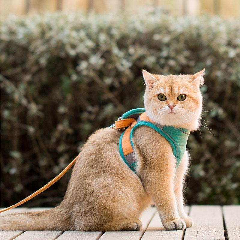Cat Harness Leash Set 3 Color Escape Proof Easy Control