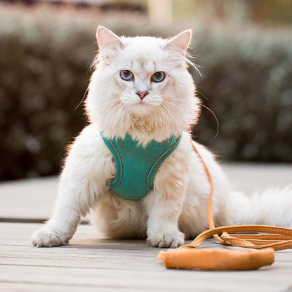 Cat Harness Leash Set 3 Color Escape Proof Easy Control