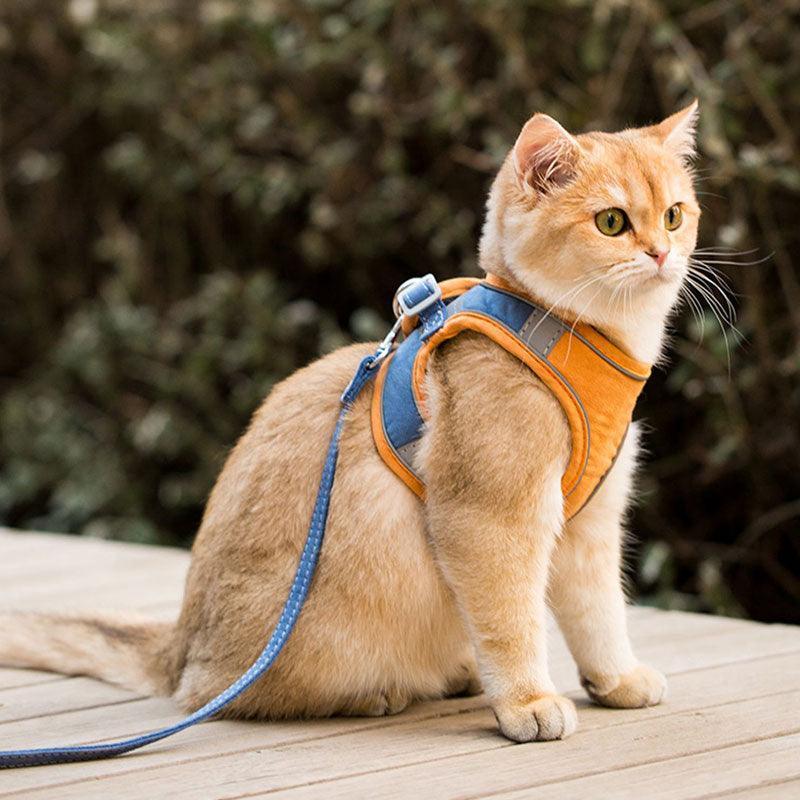Cat Harness Leash Set 3 Color Escape Proof Easy Control