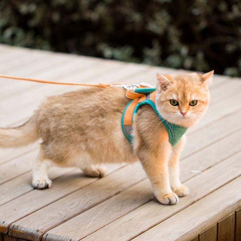 Cat Harness Leash Set 3 Color Escape Proof Easy Control