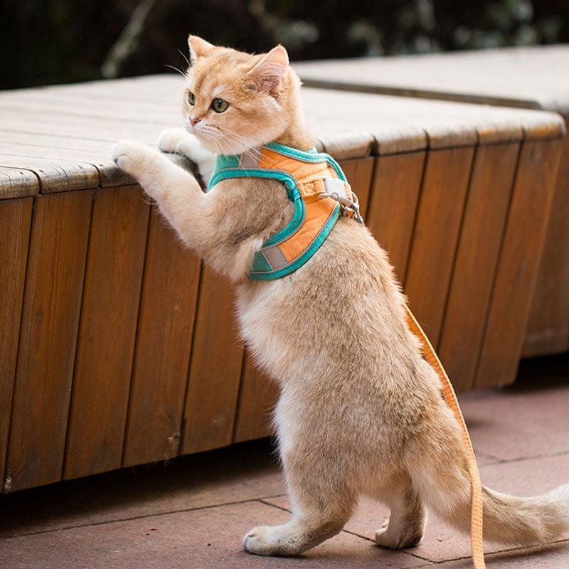 Cat Harness Leash Set 3 Color Escape Proof Easy Control