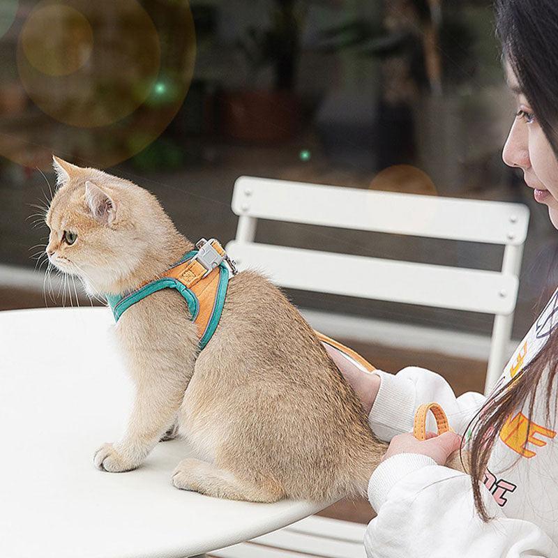 Cat Harness Leash Set 3 Color Escape Proof Easy Control