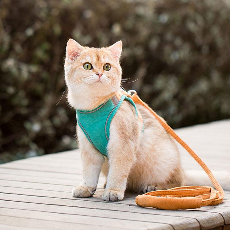 Clashing Colors Cat Harness Leash Set Escape Proof Vest