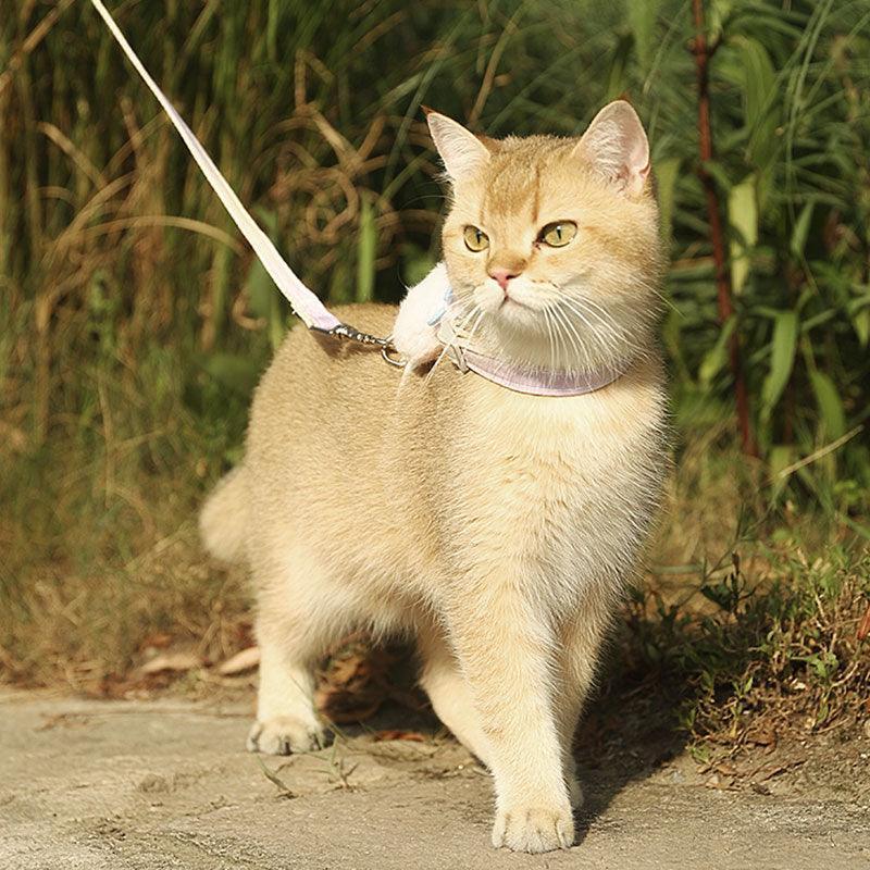 Clouds Cat Harness 4 Color Kitty Leash Set