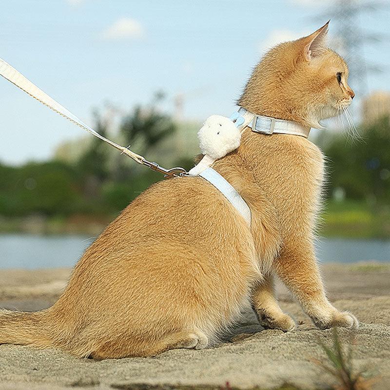 Clouds Cat Harness 4 Color Kitty Leash Set