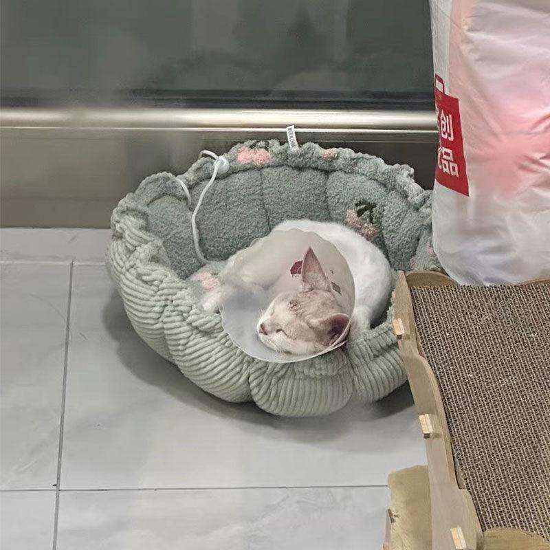 Clouds Petals Cat Bed 3 Colors Adjustable Mat - MEWCATS