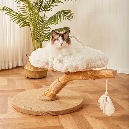 Cloudy Flower Cat Tree 5 Color Climbing Frame - MEWCATS