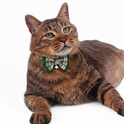 College Style Bow Cat Collar - MEWCATS