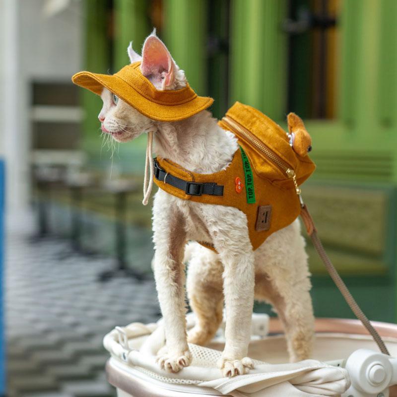 Cowboy Hairless Cat Clothes Hat Sphynx Leash