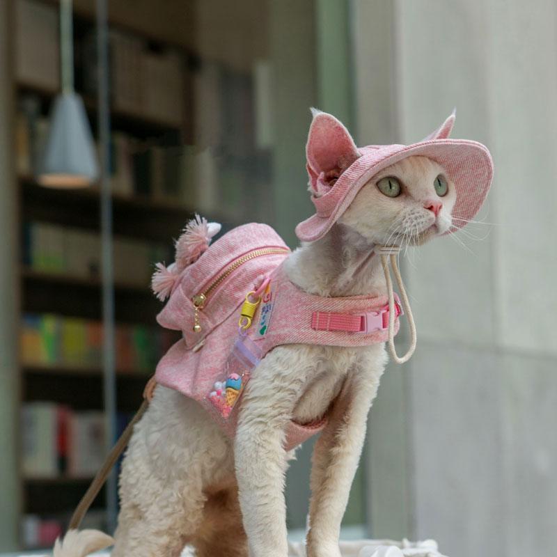 Cowboy Hairless Cat Clothes Hat Sphynx Leash