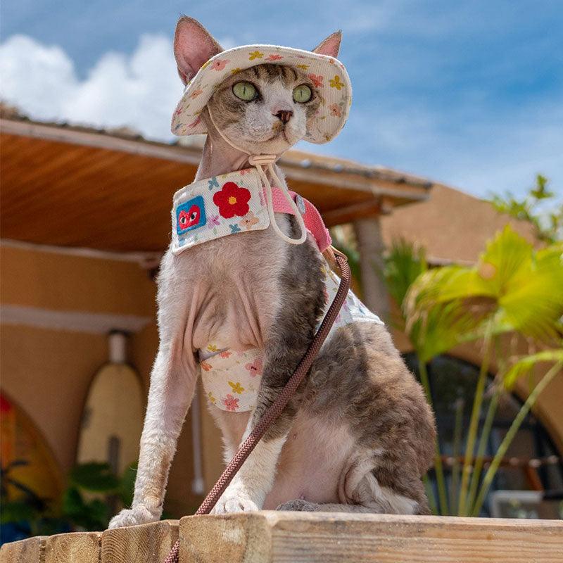 Cowboy Hairless Cat Clothes Hat Sphynx Leash - MEWCATS