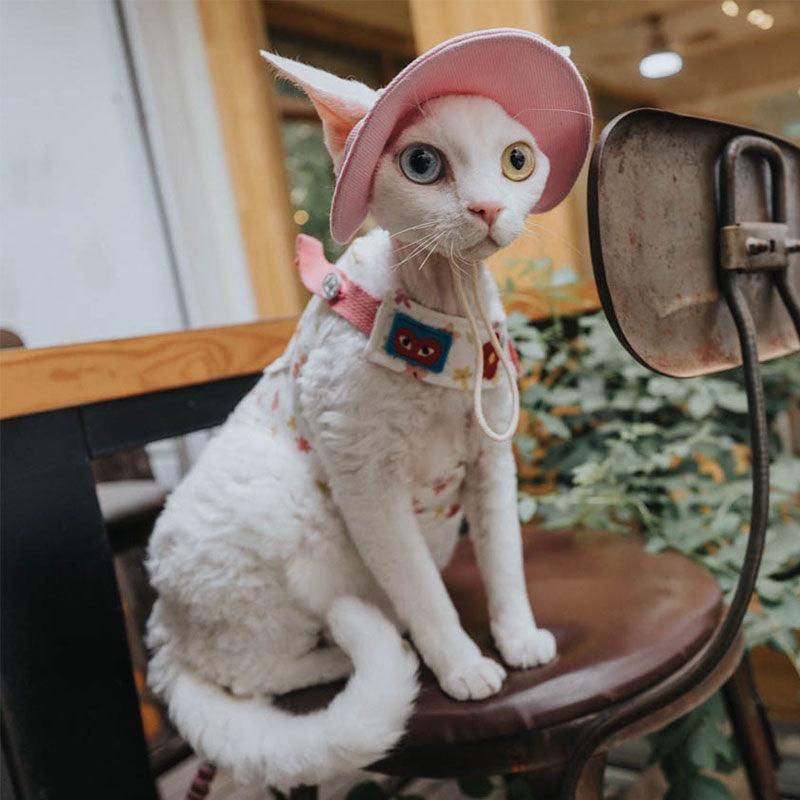 Cowboy Hairless Cat Clothes Hat Sphynx Leash - MEWCATS