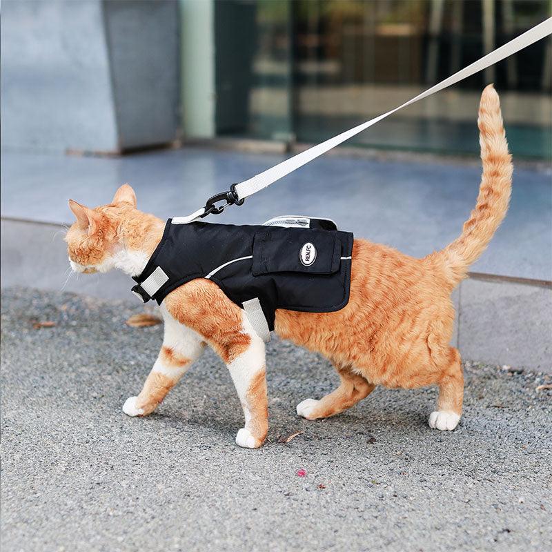 Cowboy Hairless Cat Clothes Hat Sphynx Leash - MEWCATS